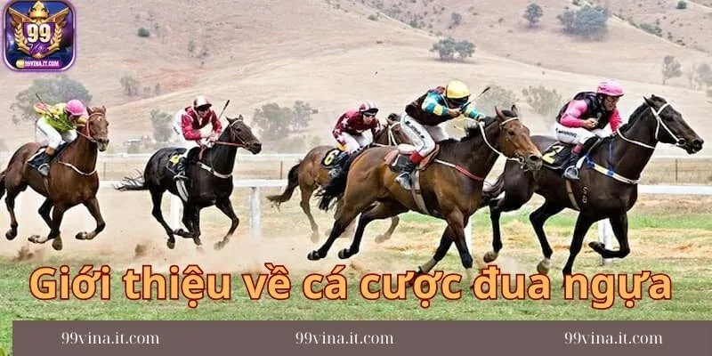 Gioi-thieu-chi-tiet-nhat-ve-ca-cuoc-dua-ngua
