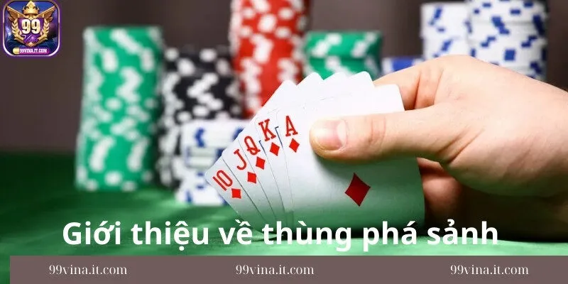 Gioi-thieu-chi-tiet-nhat-ve-thung-pha-sanh-la-gi
