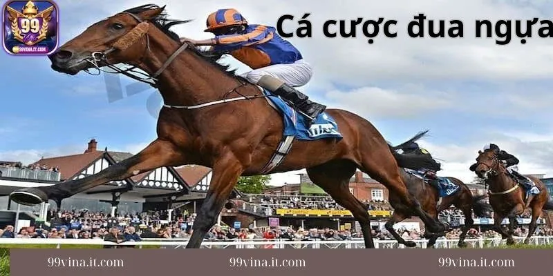 Meo-tham-gia-choi-ca-cuoc-dua-ngua-toi-uu-tu-bet-thu